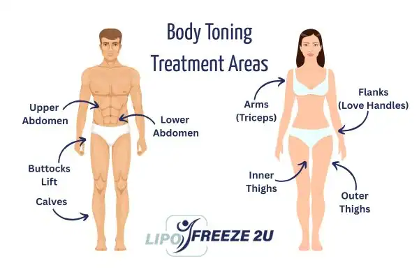Graphic showing where you can have Body toning Treatment Walsall on your body